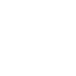 Gyro pilot icon